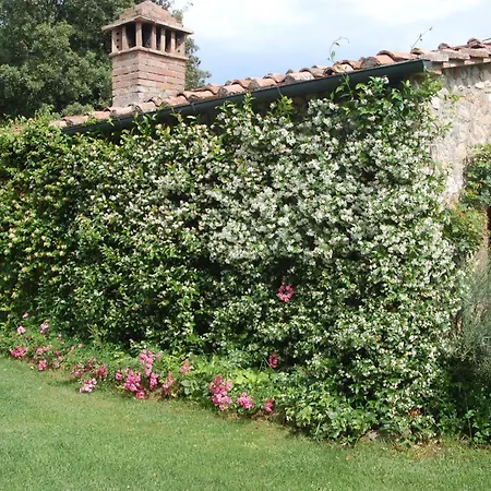ファームステイ San Ansanino- Piscina Con Spiaggia-aria Condizionata