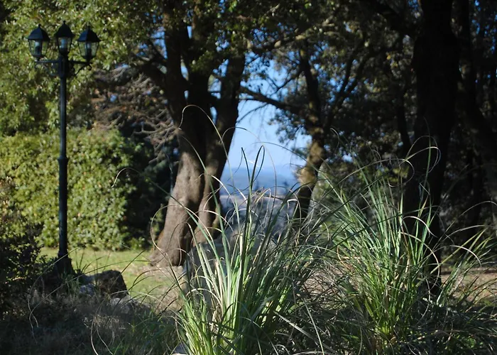 San Ansanino- Piscina Con Spiaggia-aria Condizionata *
