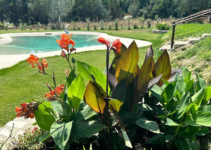 San Ansanino- Piscina Con Spiaggia-aria Condizionata ファームステイ パリ