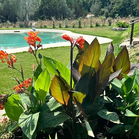 San Ansanino- Piscina Con Spiaggia-aria Condizionata Holiday home Pari