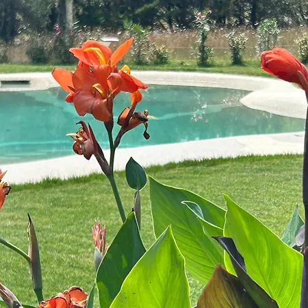 Holiday home San Ansanino- Piscina Con Spiaggia-aria Condizionata